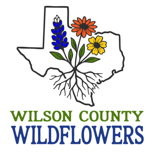 Wilson County Wildflowers